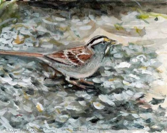 White-throated Sparrow Beneath Feeder Watercolor