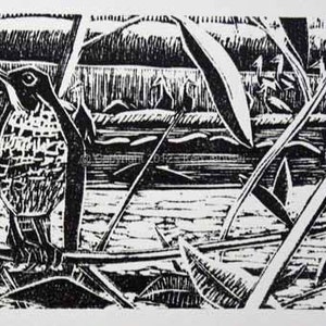 Hermit Thrush and Sandhill Cranes at Horicon Marsh Linocut