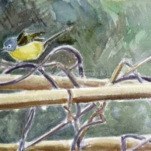 Könnte beinhalten: Ein Aquarellbild eines kleinen gelben Vogels mit blauem Kopf, der auf einem Ast sitzt. Der Vogel ist von braunen Ästen und einem grünen Hintergrund umgeben.