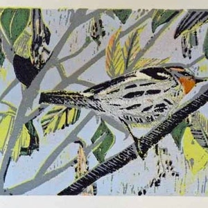 Blackburnian Warbler at Magee Marsh Reduction Linocut