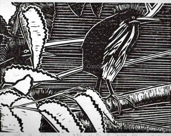 Three Young Green Herons at Manayunk Canal Woodblock Print