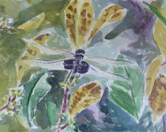 Black Saddlebags Dragonfly Original Watercolor