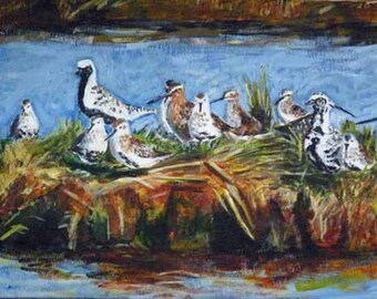 May include: A painting of a group of shorebirds perched on a grassy bank. The birds are mostly white and gray with brown markings. The background is a blue sky with a few clouds.