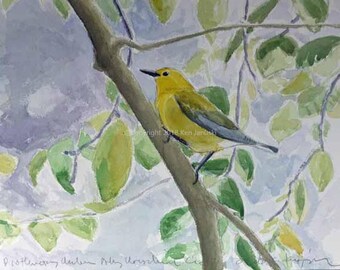 May include: A watercolor painting of a yellow warbler perched on a branch with green leaves. The bird is facing to the right and has a blue tail. The background is a light blue with white clouds.