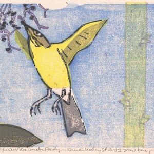Pode incluir: Um pássaro amarelo com cauda cinza e olhos pretos está empoleirado em um galho com bagas roxas. O pássaro está em pleno voo com as asas abertas. O fundo é um céu azul claro.