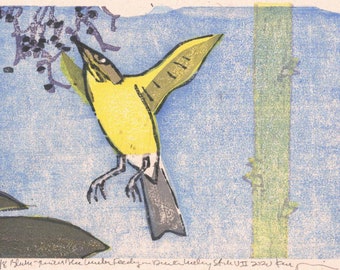 Black-throated Blue Warbler Feeding on Devil's Walking Stick V2 Moku Hanga Print