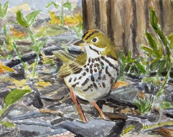 May include: Watercolor painting of a small bird with a brown, white, and black patterned body, perched on a rocky surface. The bird has a yellow and brown head and is surrounded by green plants and a tree trunk. The artwork is signed.