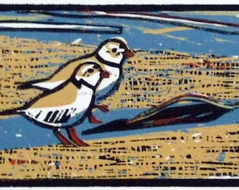 May include: A woodblock print of two small birds with white heads and brown bodies standing on a sandy beach. The background is a blue and white sky with a few lines of white.