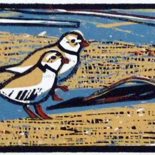 Piping Plover at 'TheMeadows' of Cape May Woodcut