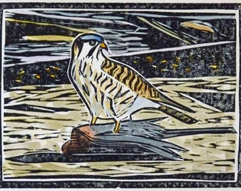 American Kestrel with American Robin Hand-colored Linocut