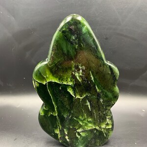 Adorable Transparent Serpentine Freeform