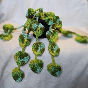 Könnte beinhalten: Eine handgefertigte Häkelpflanze mit herzförmigen Blättern in Grün- und Blautönen. Die Pflanze steht in einem schwarzen Topf und ruht auf einer weißen Oberfläche. Die Blätter hängen herab und bilden ein einzigartiges Dekorationselement.