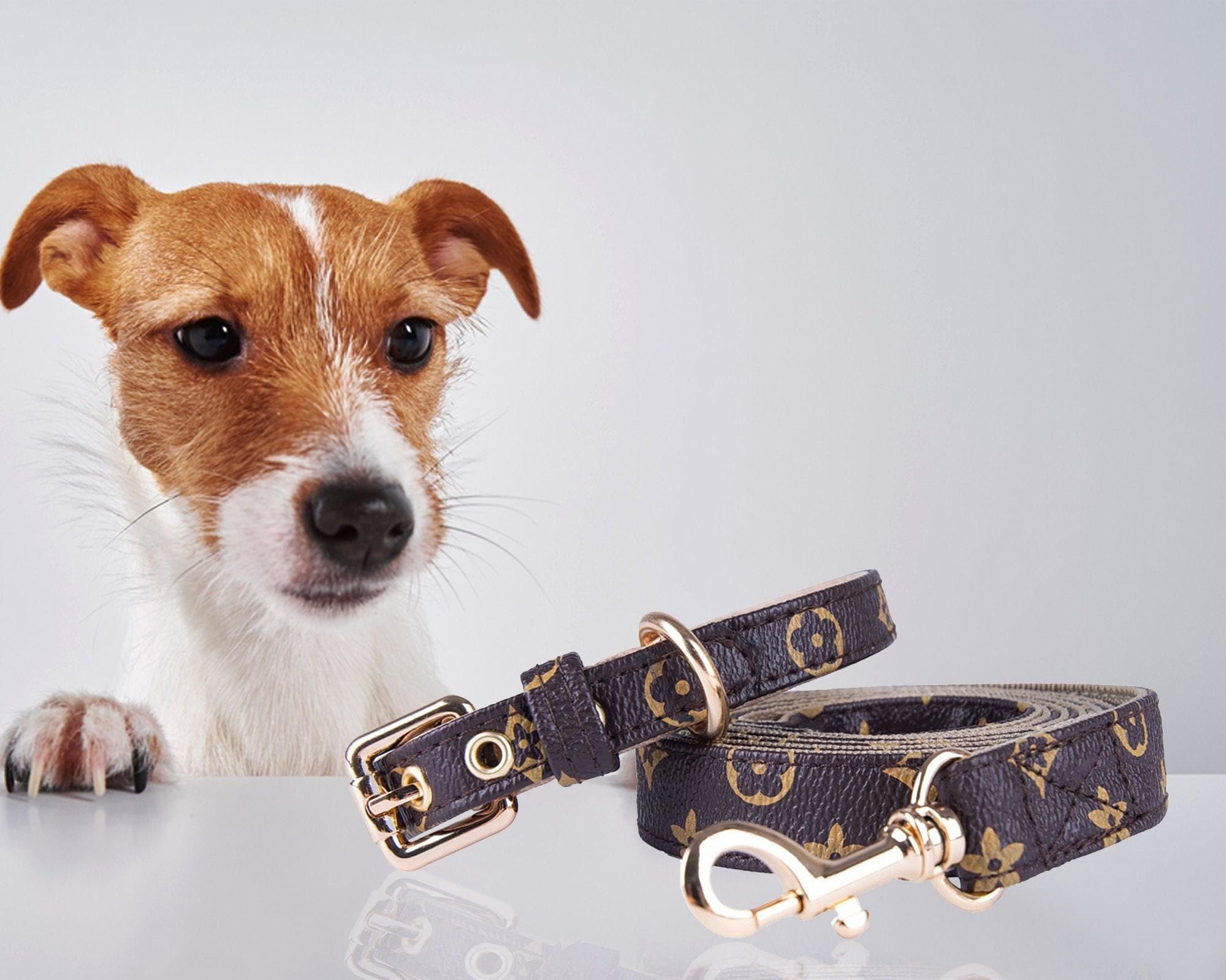 Gucci Dog Leash - Etsy