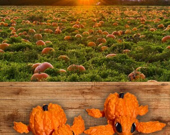 Pumpkin Turtle 3D Printed Articulated Fidget Toy