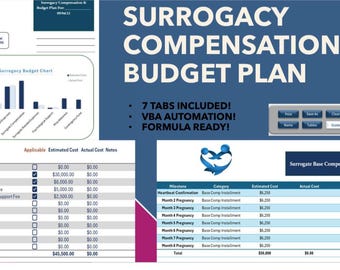 Planificador de presupuesto y compensación para gestación subrogada