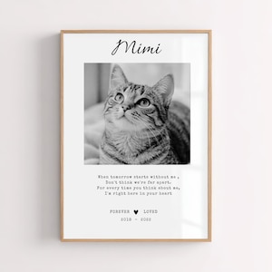 Puede incluir: Una impresión fotográfica en blanco y negro enmarcada con un gato atigrado llamado Mimi. La impresión incluye el texto "Cuando el mañana comience sin mí, no pienses que estamos lejos. Por cada vez que pienses en mí, estoy aquí en tu corazón." y "Forever Loved 2018-2022."