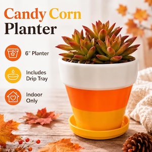 May include: A 6-inch ceramic planter with a candy corn color scheme featuring a white rim, orange middle, and yellow base. The planter includes a matching yellow drip tray and contains a succulent plant. Text reads Candy Corn Planter, 6" Planter, Includes Drip Tray, and Indoor Only.