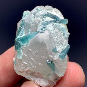 May include: A natural mineral specimen featuring a cluster of blue-green tourmaline crystals embedded in a matrix of clear quartz. The crystals are elongated and have a glassy luster, with a range of blue-green hues. The quartz matrix is translucent.