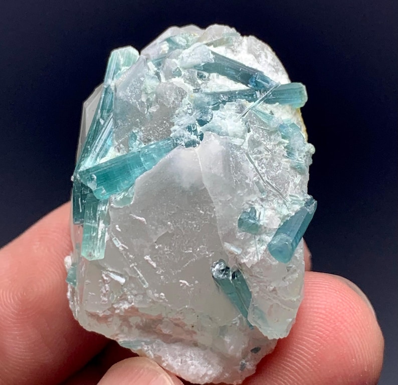 May include: A natural mineral specimen featuring a cluster of blue-green tourmaline crystals embedded in a matrix of clear quartz. The crystals are elongated and have a glassy luster, with a range of blue-green hues. The quartz matrix is translucent.