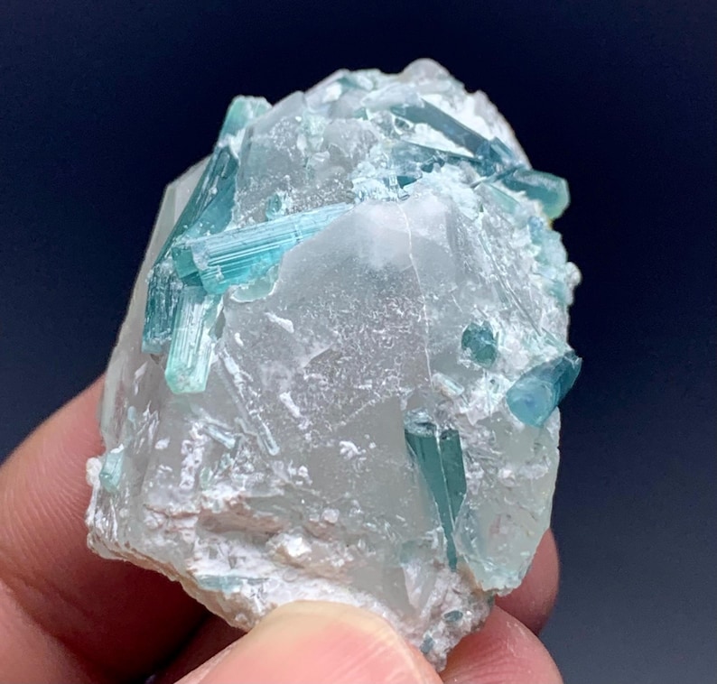 May include: A close-up of a mineral specimen featuring a cluster of vibrant, blue-green tourmaline crystals embedded in a translucent, light-colored matrix. The crystals are elongated and prismatic, with a glassy luster. The matrix has a rough, uneven texture.