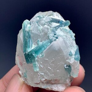 May include: A close-up of a mineral specimen featuring clear quartz with embedded, elongated, teal-colored tourmaline crystals. The crystals are partially embedded within the quartz matrix, creating a striking contrast.