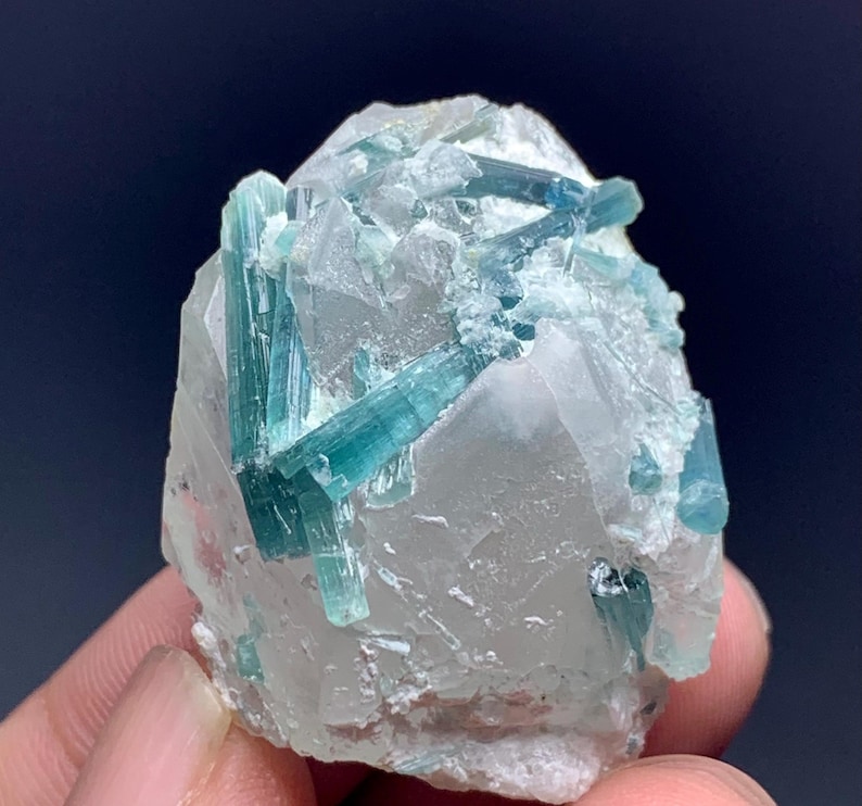 May include: A close-up of a mineral specimen featuring clear quartz with embedded, elongated, teal-colored tourmaline crystals. The crystals are partially embedded within the quartz matrix, creating a striking contrast.