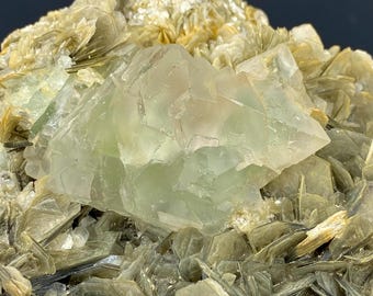 Bicolour Fluorite Crystal on Matrix with Muscovite – Pakistan Mineral Collection (771 Gram)
