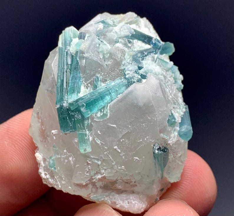 May include: A close-up of a mineral specimen featuring a cluster of teal-colored tourmaline crystals embedded in a clear, crystalline matrix. The crystals are elongated and prismatic, with a glassy luster. The matrix is a pale, translucent color.