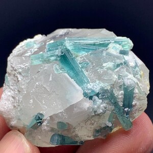 May include: A close-up of a mineral specimen featuring a cluster of blue-green tourmaline crystals embedded in a matrix of clear quartz and white rock. The crystals are elongated and have a glassy appearance.