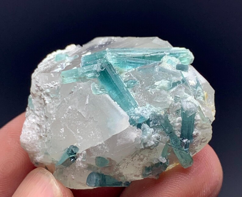 May include: A close-up of a mineral specimen featuring a cluster of blue-green tourmaline crystals embedded in a matrix of clear quartz and white rock. The crystals are elongated and have a glassy appearance.