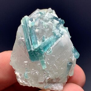 May include: A close-up of a mineral specimen featuring a cluster of teal-colored tourmaline crystals embedded in a clear quartz matrix. The crystals are elongated and have a glassy appearance, with a few small crystals scattered around the main cluster.