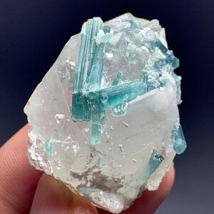May include: A close-up of a raw mineral specimen featuring a cluster of teal-colored tourmaline crystals embedded in a matrix of clear quartz. The quartz has a crystalline structure, and the tourmaline crystals are elongated.