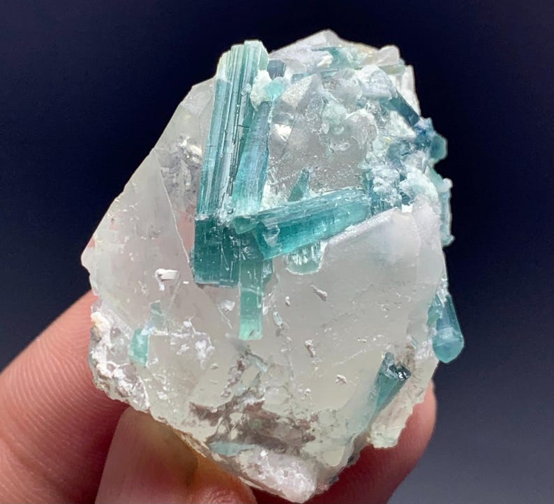 May include: A close-up of a raw mineral specimen featuring a cluster of teal-colored tourmaline crystals embedded in a matrix of clear quartz. The quartz has a crystalline structure, and the tourmaline crystals are elongated.