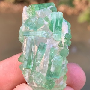 25.61 Gram Tourmaline Crystals with Quartz /Natural Tourmaline Crystal Specimen with Quartz from Afghanistan.