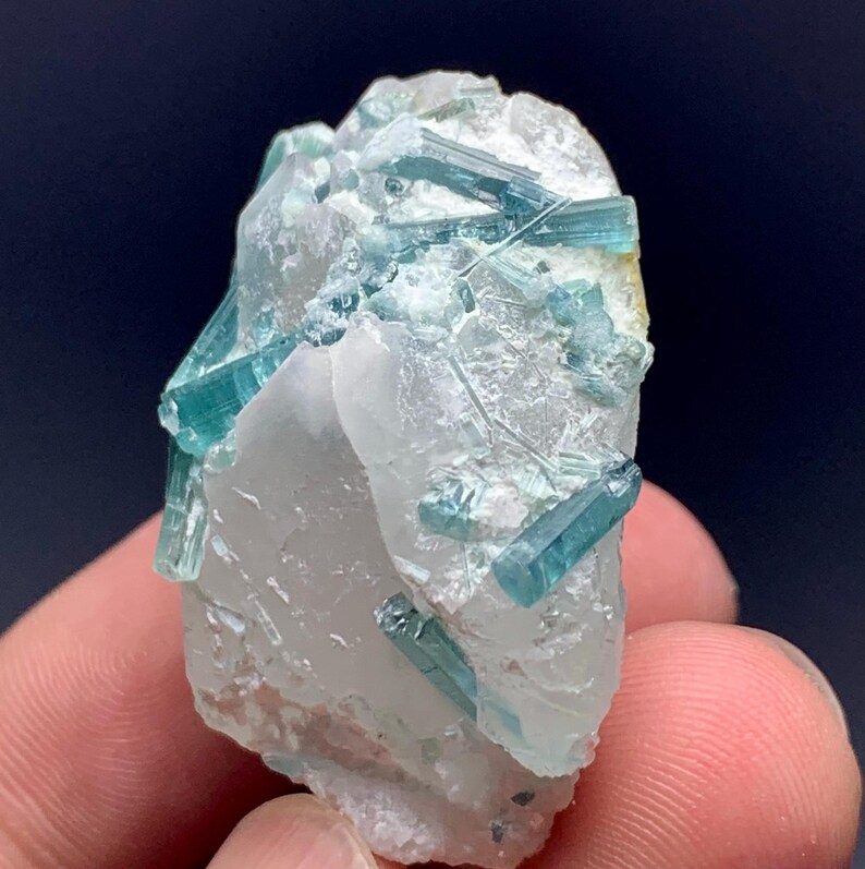 May include: A raw, natural mineral specimen featuring a cluster of blue-green tourmaline crystals embedded in a matrix of clear quartz. The crystals are elongated and prismatic, with a glassy luster. The quartz matrix is opaque and has a rough texture.