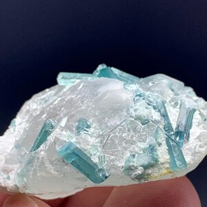 May include: A close-up of a mineral specimen featuring a cluster of light blue, elongated crystals embedded in a white, crystalline matrix. The crystals have a glassy appearance, and the matrix has a rough, textured surface. The background is a dark blue.