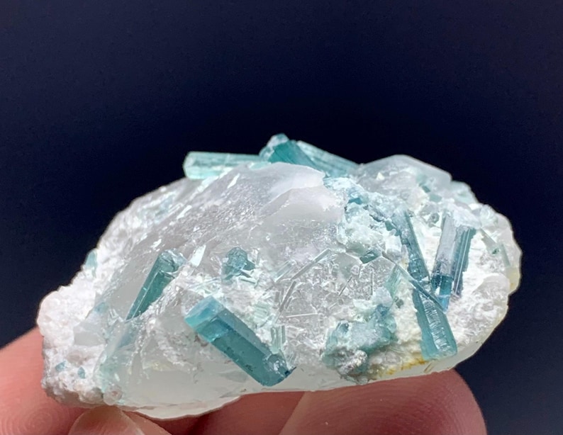 May include: A close-up of a mineral specimen featuring a cluster of light blue, elongated crystals embedded in a white, crystalline matrix. The crystals have a glassy appearance, and the matrix has a rough, textured surface. The background is a dark blue.