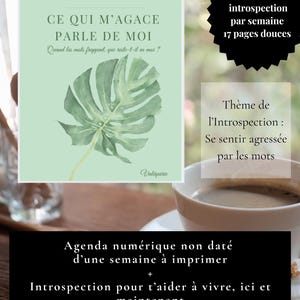 May include: A digital journal with the title "CE QUI M'AGACE PARLE DE MOI" and a watercolor illustration of a monstera leaf. The journal includes weekly introspection, 17 pages, and a theme of feeling attacked by words. A cup of coffee sits nearby.