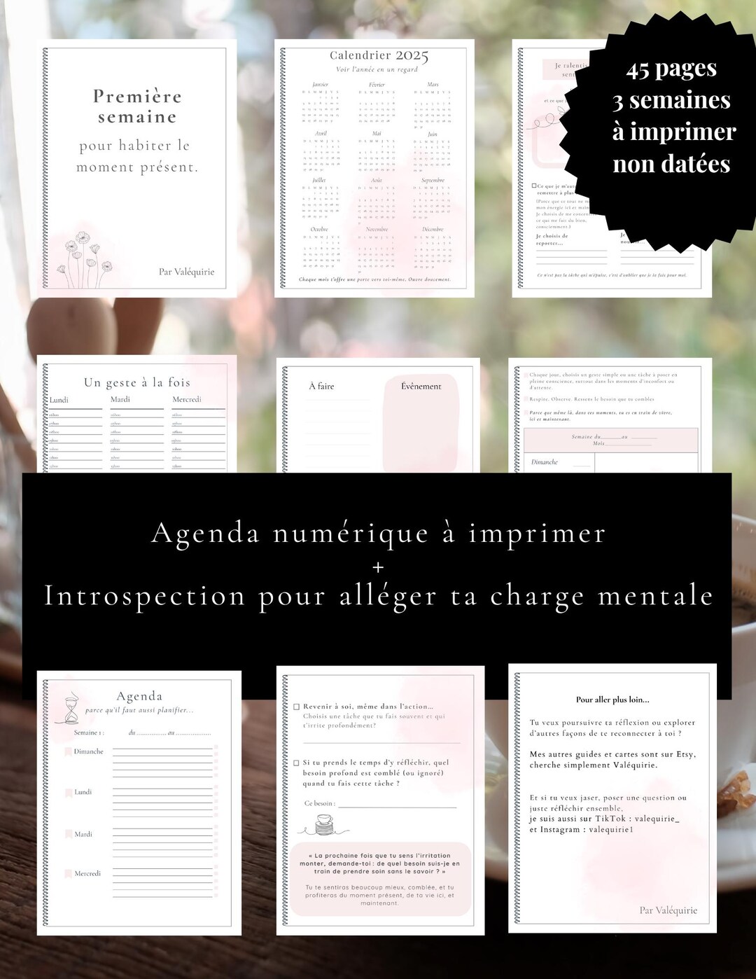 21 Days of Printable Organization, Digital Agenda, Gentle Planning ...
