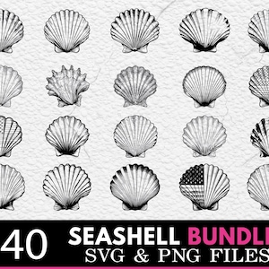Seashell SVG PNG Bundle: Cricut Cut Files, Clipart (Digital Download)