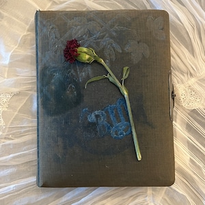 Antique Victorian Photo Album | Blue Velvet Family Photo Album | Cabinet Cards, Tintypes, CDV’s