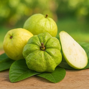 50 Indonesian Seedless Guava Seeds, Rare Tropical Fruit Tree, Sweet Crisp Guava, Exotic Non-GMO Edible Garden Seeds