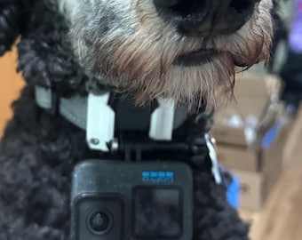 Supporto per collare per cani GoPro: leggero, sicuro e compatibile con gli OEM