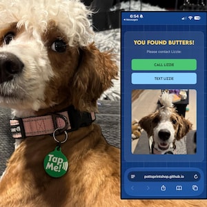 Smart Dog Collar Tag – Instantly Texts You If Your Dog Is Found, Phone Number Printed on Back, No App Needed