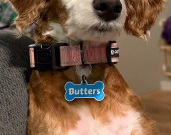 Dog Bone Pet Name Tag — Custom Dog Collar & Leash Charm, Personalized Raised Lettering, 3D Printed