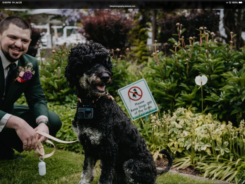 Op de afbeelding: Een zwart-witte hond met een GoPro-camera om zijn nek zit op het gras naast een bord met de tekst "Please Keep Dogs Off of the Grids". Een persoon in een groen pak glimlacht op de achtergrond.
