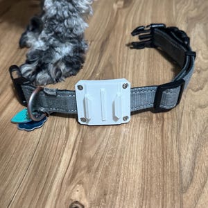 Op de afbeelding: Grijze hondenriem met een witte GoPro-houder en een zwarte plastic gesp. De halsband heeft een metalen D-ring en een klein label. De halsband ligt op een houten oppervlak.