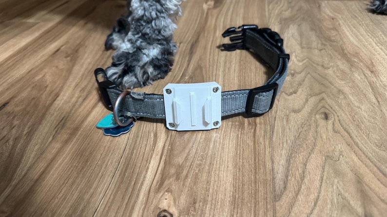 Op de afbeelding: Grijze hondenriem met een witte GoPro-houder en een zwarte plastic gesp. De halsband heeft een metalen D-ring en een klein label. De halsband ligt op een houten oppervlak.