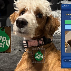 Intelligenter Hundehalsbandanhänger – Benachrichtigt Sie sofort per SMS, wenn Ihr Hund gefunden wird, Telefonnummer auf der Rückseite aufgedruckt, keine App erforderlich