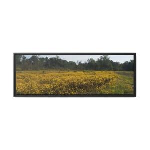 Floral Canvas Art: Bright Multi-Color Framed Wall Decor